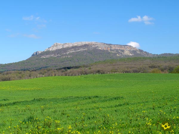 Ruta De Los Robles Centenarios Munain Lava Araba Senditur